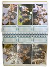 ALBUM MAMPACOL 200 FOTOS 10X15