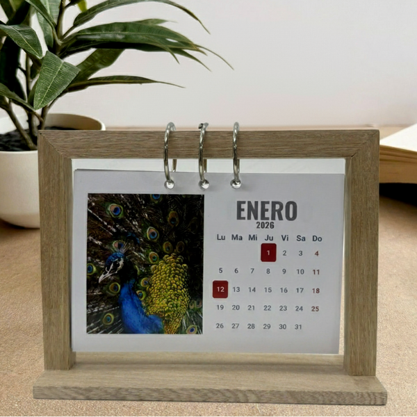 Calendario Tendedero